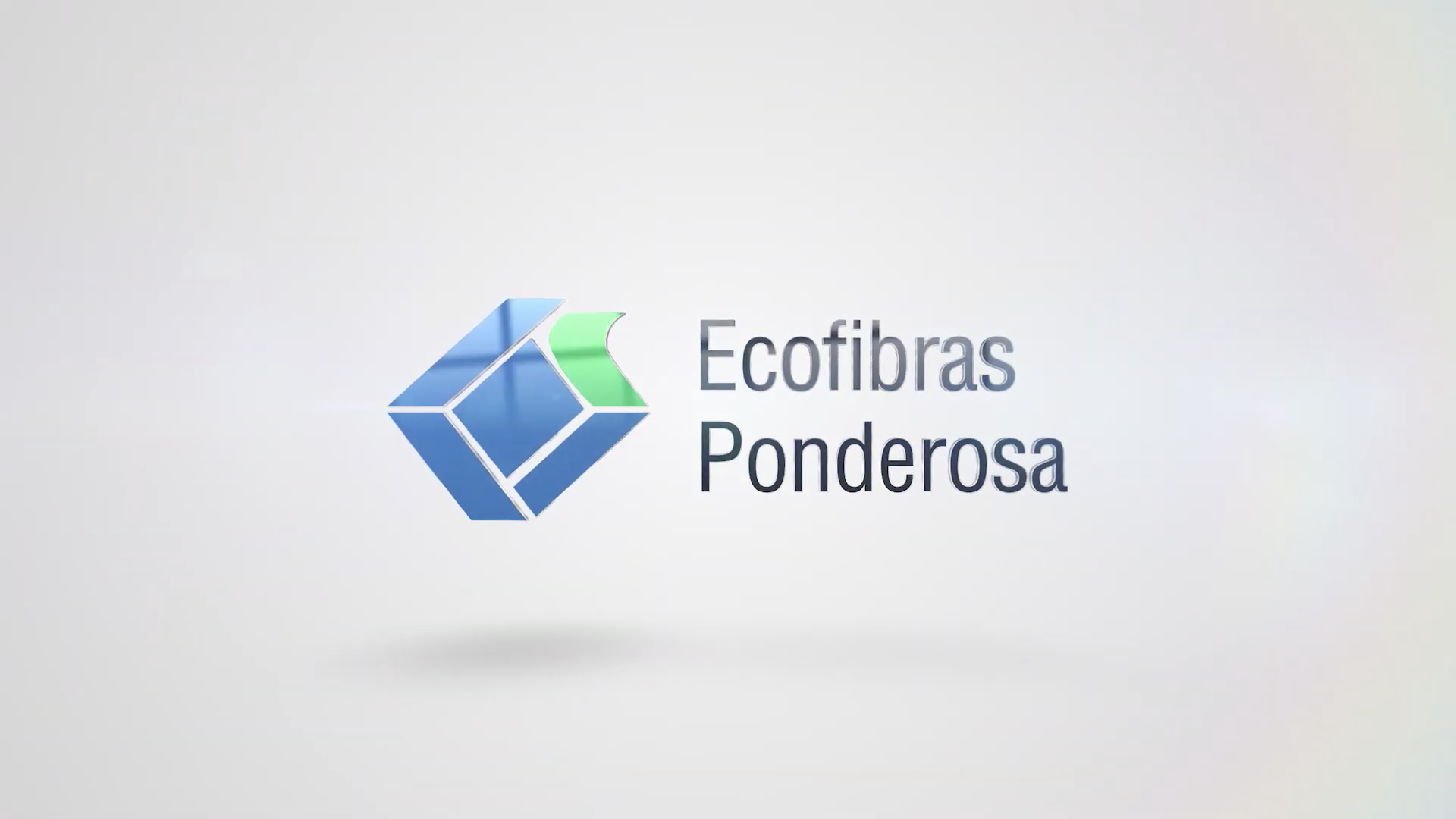 Ecofibras – Corporativo